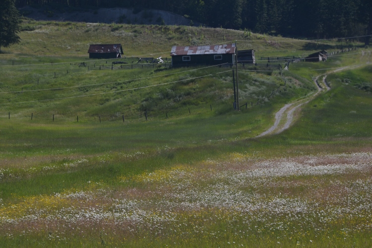 countryside